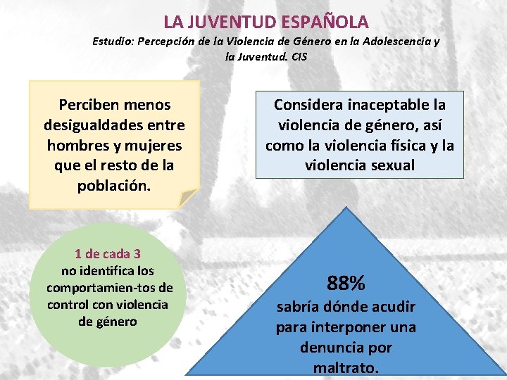 LA JUVENTUD ESPAÑOLA Estudio: Percepción de la Violencia de Género en la Adolescencia y