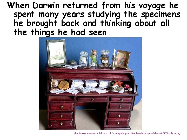 When Darwin returned from his voyage he spent many years studying the specimens he