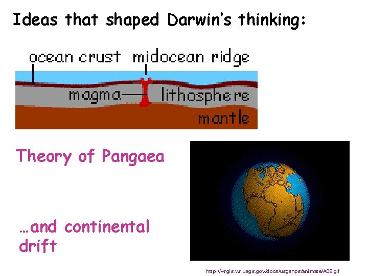 Ideas that shaped Darwin’s thinking: Theory of Pangaea …and continental drift http: //wrgis. wr.