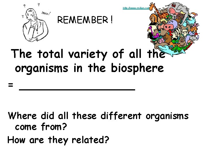 http: //www. millan. net REMEMBER ! The total variety of all the organisms in