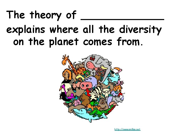 The theory of _______ explains where all the diversity on the planet comes from.