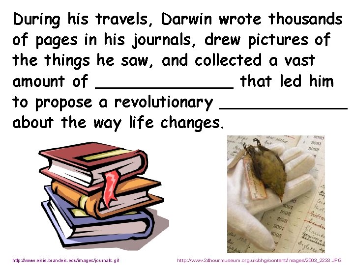 During his travels, Darwin wrote thousands of pages in his journals, drew pictures of