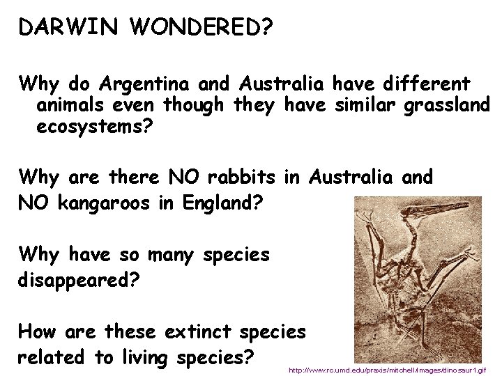 DARWIN WONDERED? Why do Argentina and Australia have different animals even though they have