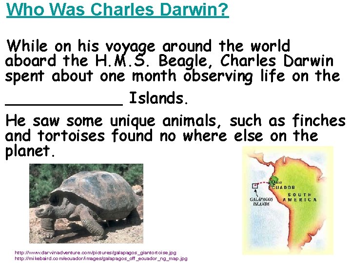 Who Was Charles Darwin? While on his voyage around the world aboard the H.