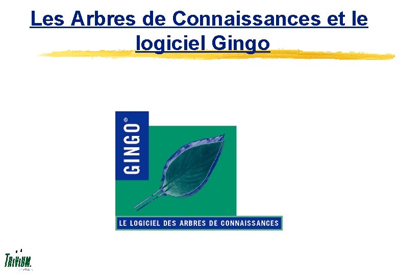 Les Arbres de Connaissances et le logiciel Gingo 