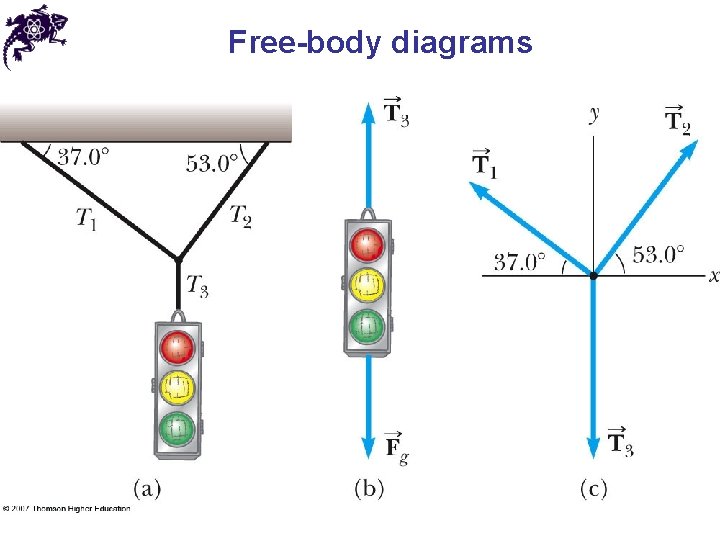 Free-body diagrams 