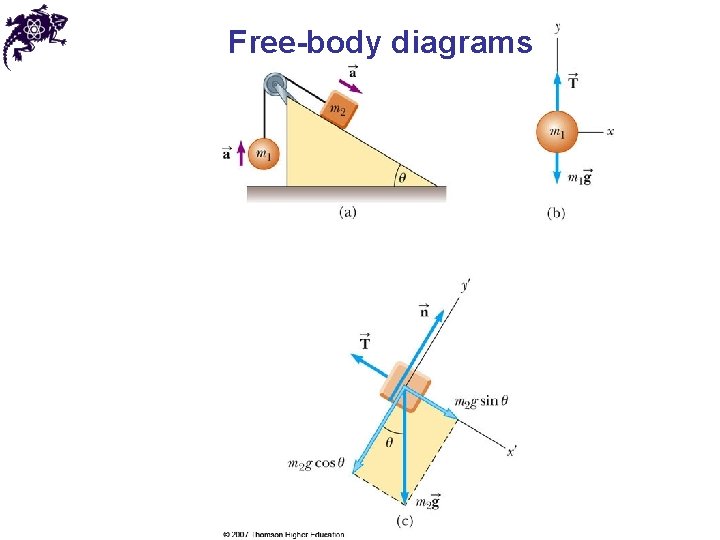 Free-body diagrams 