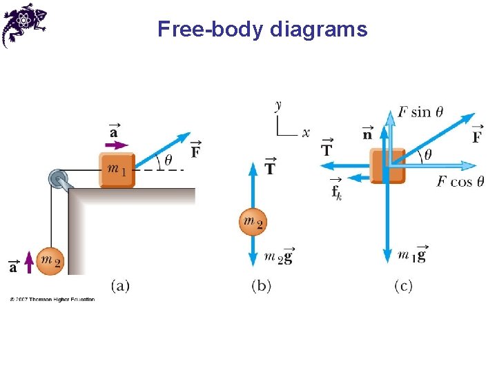 Free-body diagrams 