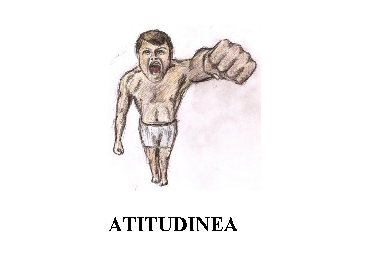 ATITUDINEA 