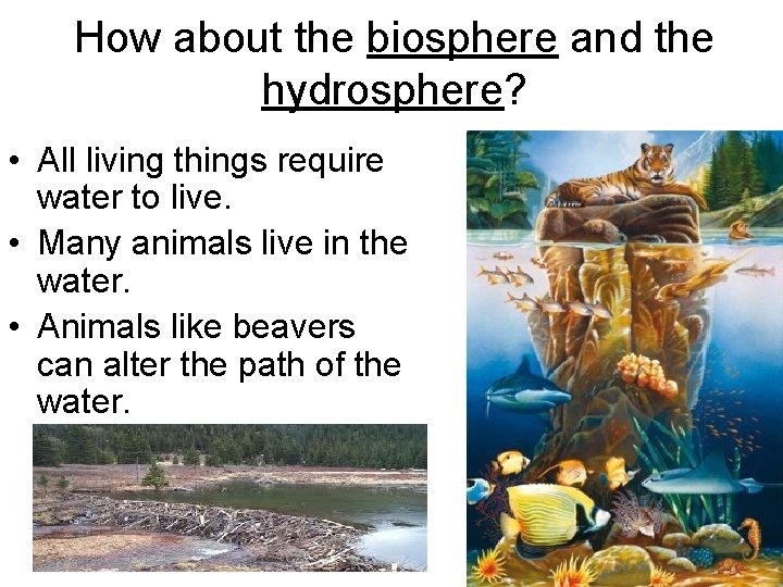 How about the biosphere and the hydrosphere? • All living things require water to