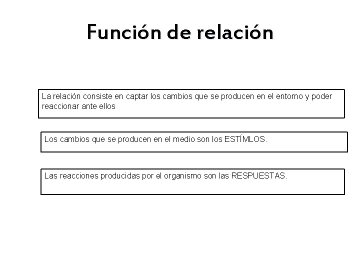 Función de relación La relación consiste en captar los cambios que se producen en