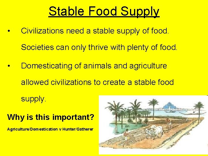 Stable Food Supply • Civilizations need a stable supply of food. Societies can only