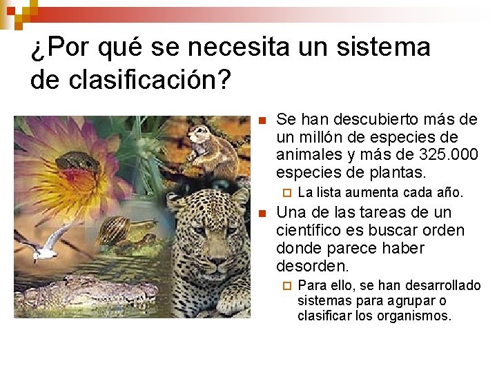 ¿Por qué se necesita un sistema de clasificación? n Se han descubierto más de ¿Por qué se necesita un sistema de clasificación? n Se han descubierto más de