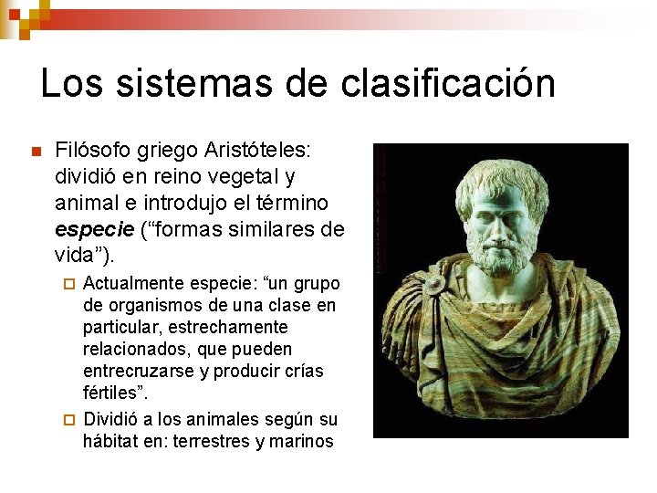Los sistemas de clasificación n Filósofo griego Aristóteles: dividió en reino vegetal y animal Los sistemas de clasificación n Filósofo griego Aristóteles: dividió en reino vegetal y animal