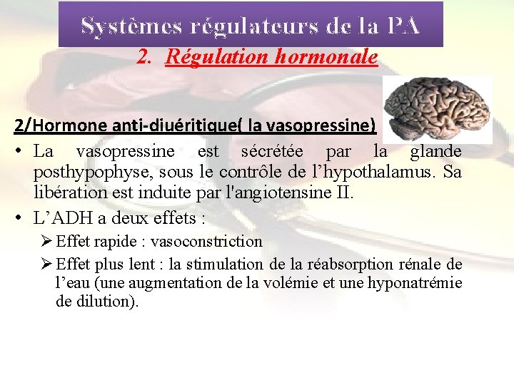 Systèmes régulateurs de la PA 2. Régulation hormonale 2/Hormone anti-diuéritique( la vasopressine) • La