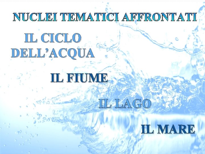 NUCLEI TEMATICI AFFRONTATI IL CICLO DELL’ACQUA IL FIUME IL LAGO IL MARE 