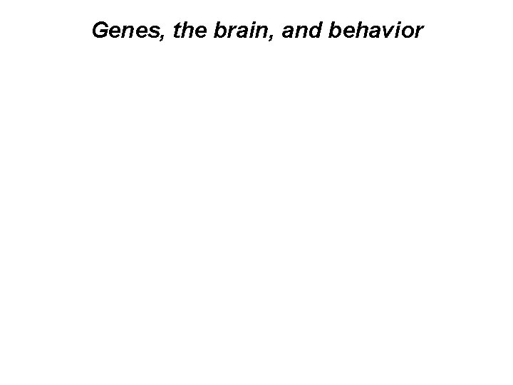 Genes, the brain, and behavior 