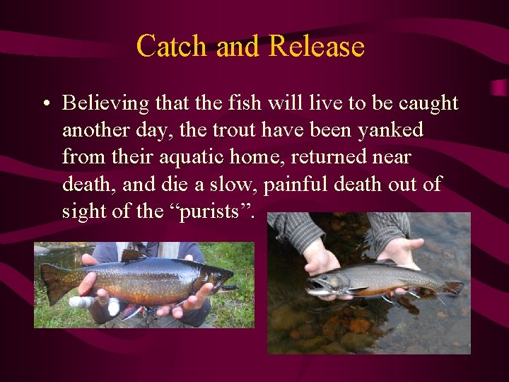 Catch and Release • Believing that the fish will live to be caught another