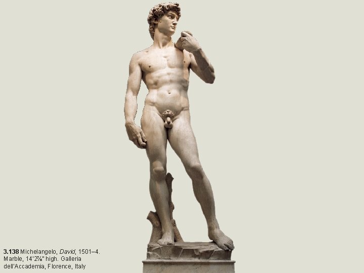 3. 138 Michelangelo, David, 1501– 4. Marble, 14’ 2⅞” high. Galleria dell’Accademia, Florence, Italy