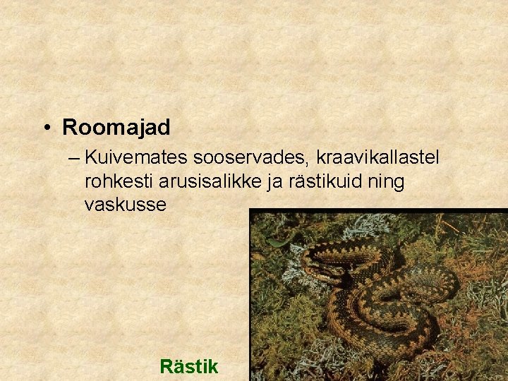  • Roomajad – Kuivemates sooservades, kraavikallastel rohkesti arusisalikke ja rästikuid ning vaskusse Rästik