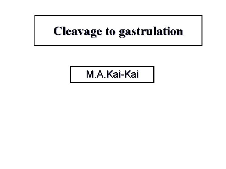 Cleavage to gastrulation M. A. Kai-Kai 