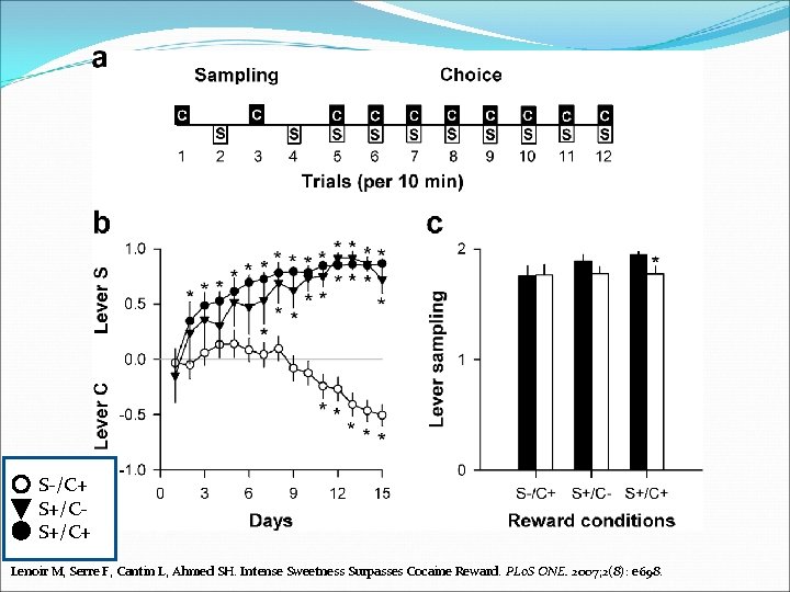 S-/C+ S+/C+ Lenoir M, Serre F, Cantin L, Ahmed SH. Intense Sweetness Surpasses Cocaine