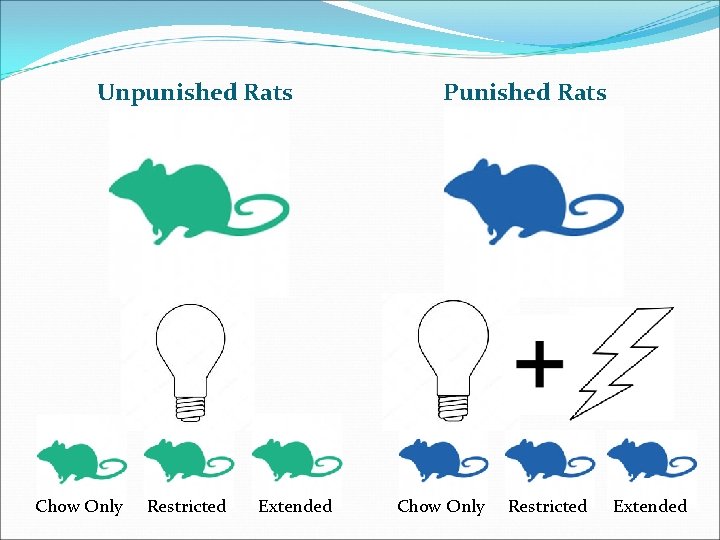 Unpunished Rats Chow Only Restricted Extended Punished Rats Chow Only Restricted Extended 