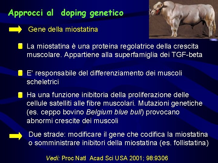 Approcci al doping genetico Gene della miostatina La miostatina è una proteina regolatrice della