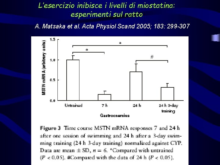 L’esercizio inibisce i livelli di miostatina: esperimenti sul ratto A. Matsaka et al. Acta