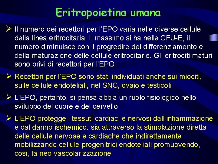 Eritropoietina umana Ø Il numero dei recettori per l’EPO varia nelle diverse cellule della