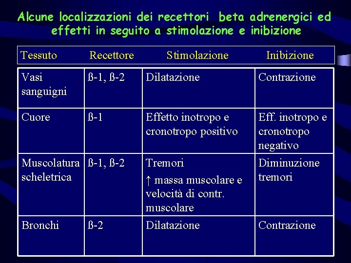 Alcune localizzazioni dei recettori beta adrenergici ed effetti in seguito a stimolazione e inibizione