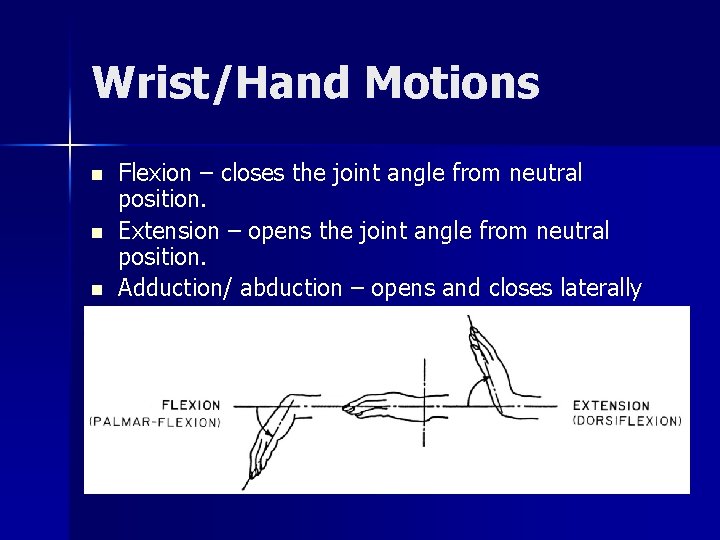 Wrist/Hand Motions n n n Flexion – closes the joint angle from neutral position.