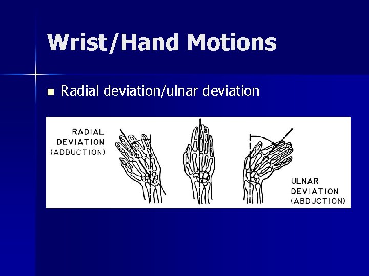 Wrist/Hand Motions n Radial deviation/ulnar deviation 