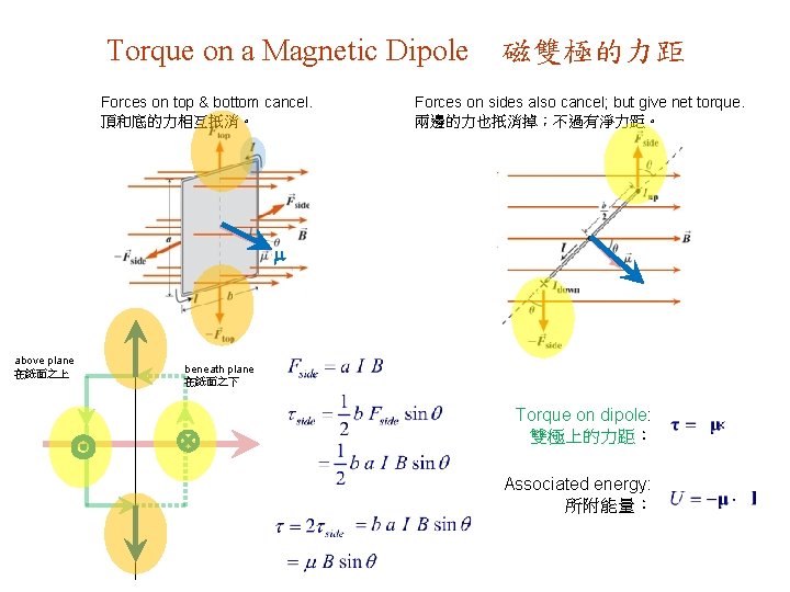 Torque on a Magnetic Dipole Forces on top & bottom cancel. 頂和底的力相互扺消。 磁雙極的力距 Forces