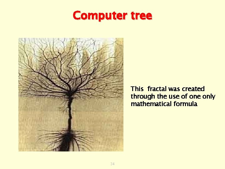 Computer tree This fractal was created through the use of one only mathematical formula