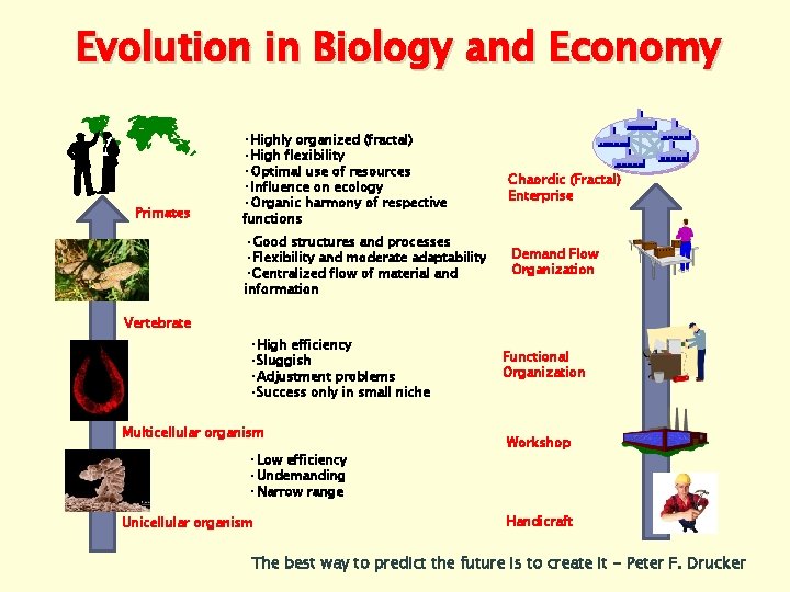 Evolution in Biology and Economy Primates • Highly organized (fractal) • High flexibility •