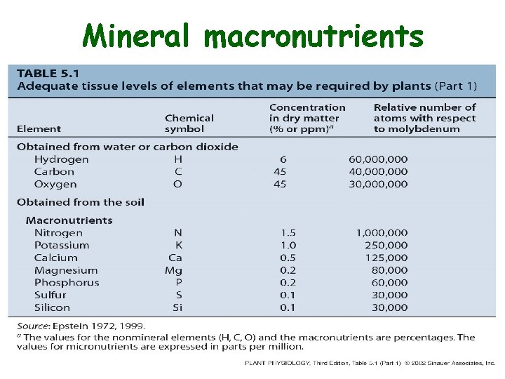 Mineral macronutrients 