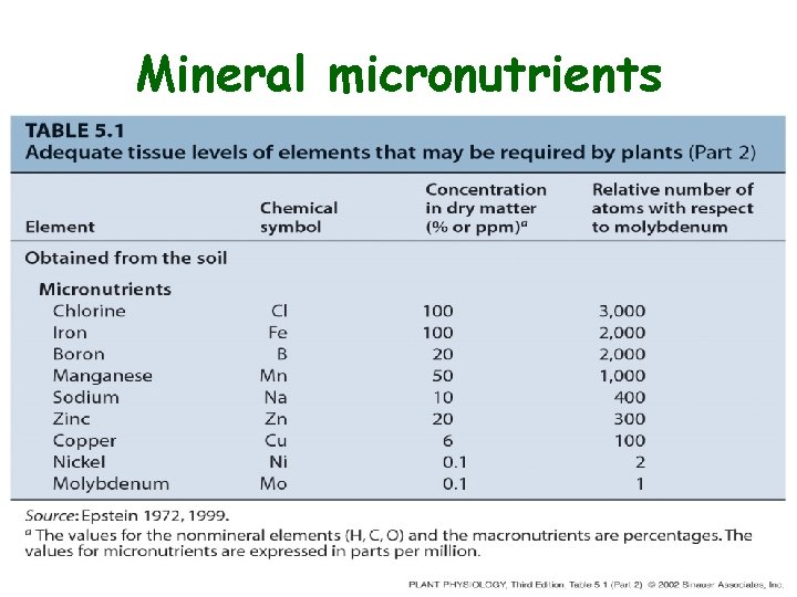 Mineral micronutrients 