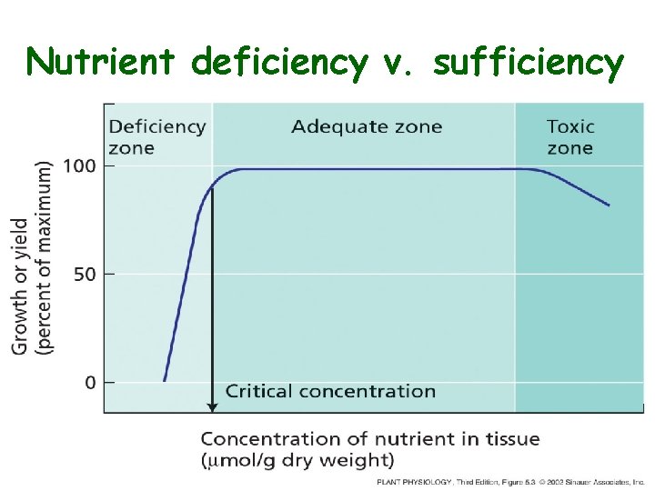 Nutrient deficiency v. sufficiency 