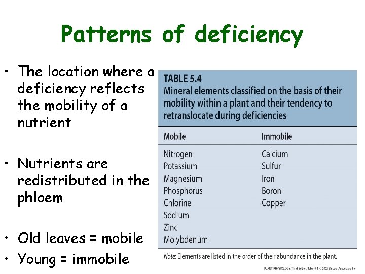 Patterns of deficiency • The location where a deficiency reflects the mobility of a