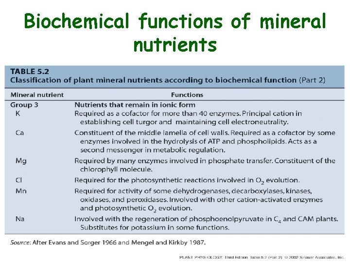 Biochemical functions of mineral nutrients 