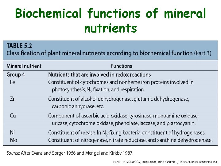 Biochemical functions of mineral nutrients 