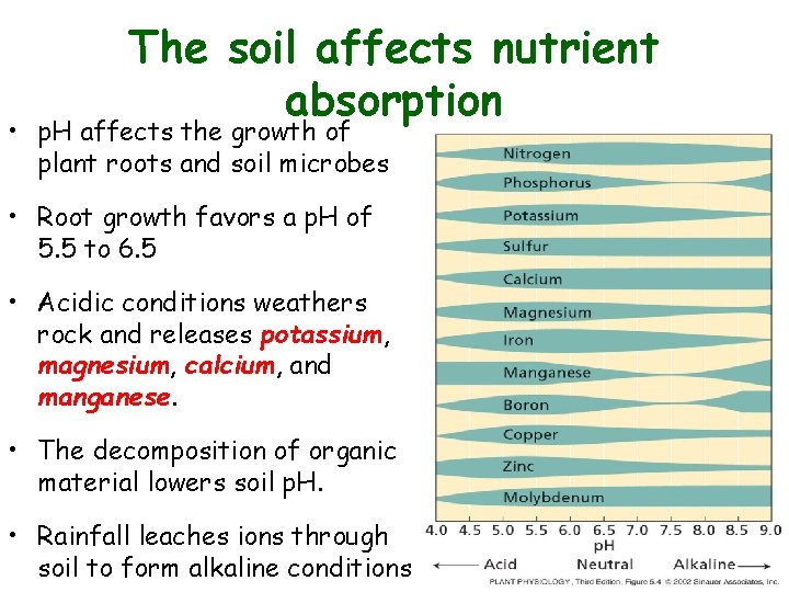 The soil affects nutrient absorption • p. H affects the growth of plant roots