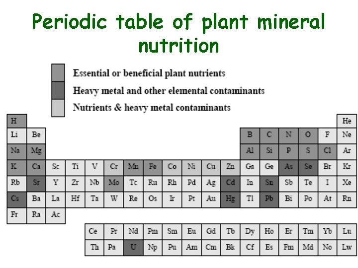 Periodic table of plant mineral nutrition 