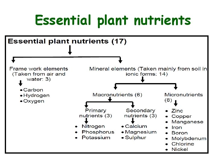 Essential plant nutrients 