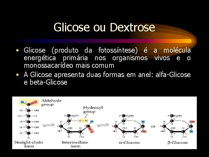 Glicose ou Dextrose • Glicose (produto da fotossíntese) é a molécula energética primária nos