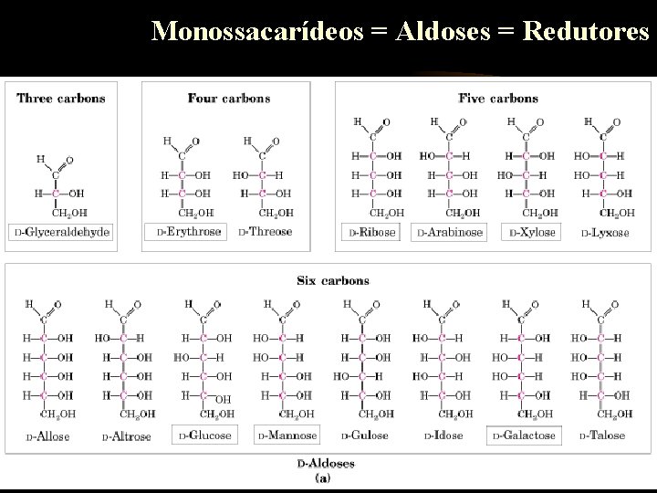 Monossacarídeos = Aldoses = Redutores 