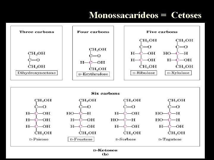 Monossacarídeos = Cetoses 