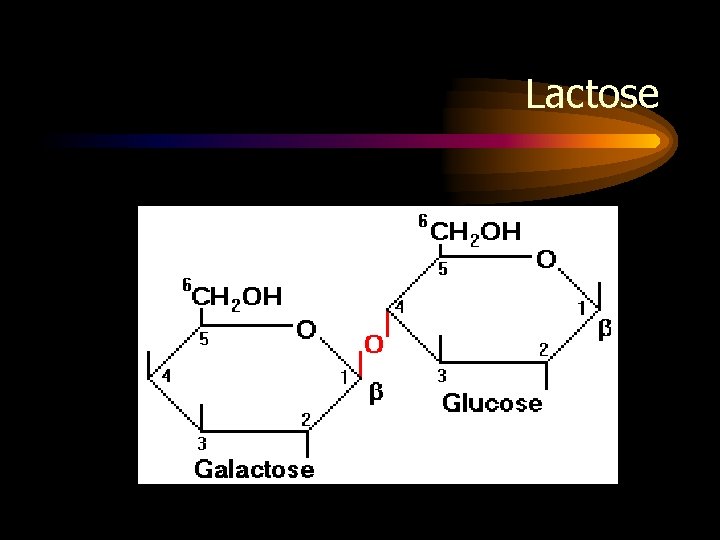 Lactose 