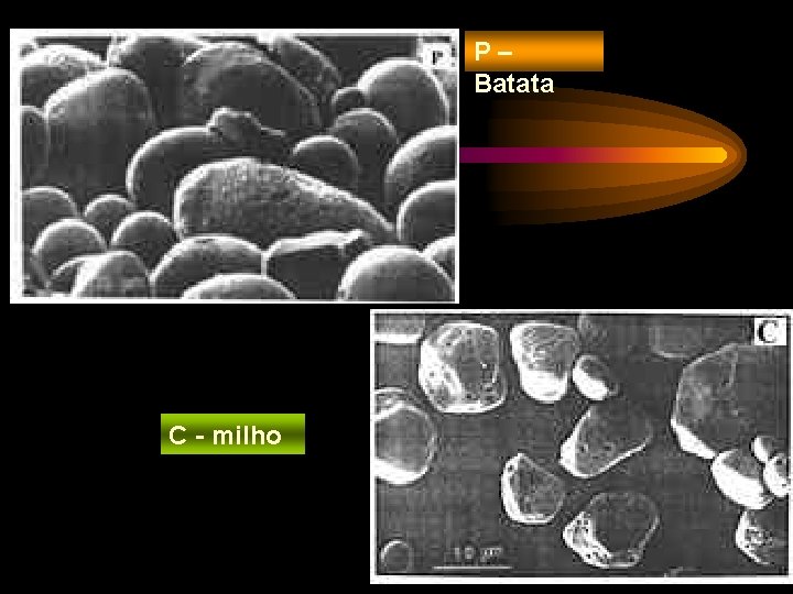 P– Batata C - milho 